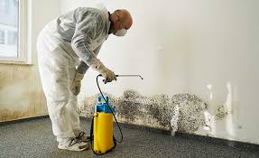 Best Biohazard Mold Removal  in Ripon, CA